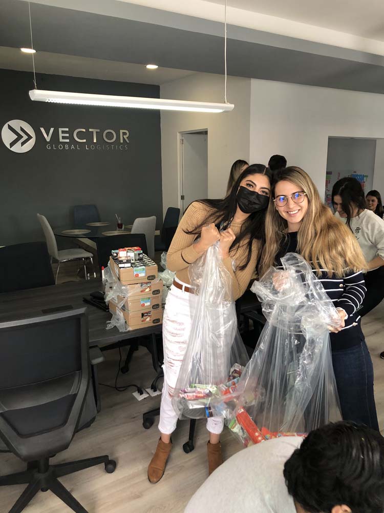 Vector Global Giving