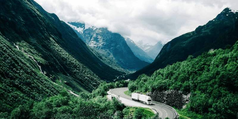 Vector Global Giving Copy