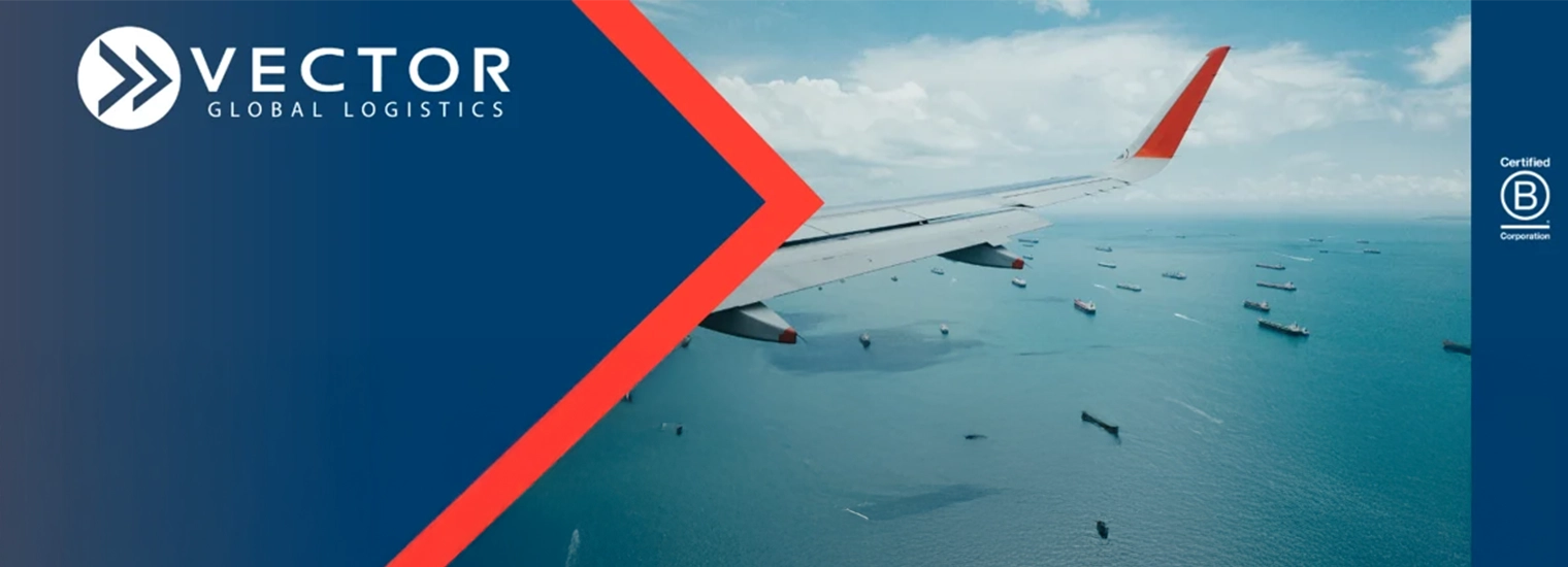 Halfway Through: A Look Back and Setting Our Sights Forward