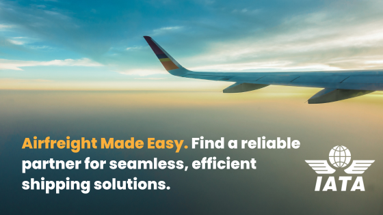 IATA-2-1-1 Celebrating 2024: Impact, Innovation, and Excellence