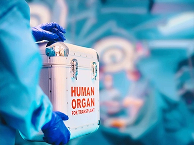 Special-Projects-Services Our Services