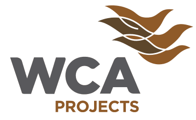 Vector Global _ logo_WCAProjects Mexico